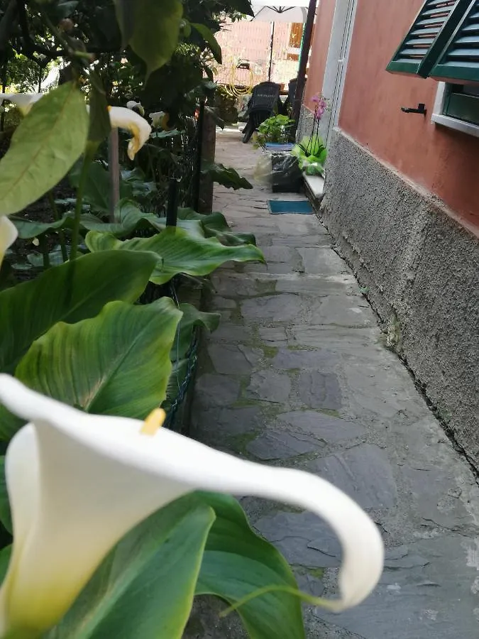 A Ca Du Barba Apartment Monterosso al Mare 0*,  Italy